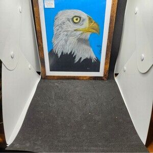 Hand Crafted American Bald Eagle Colored Pencil Drawing Framed 9x11"